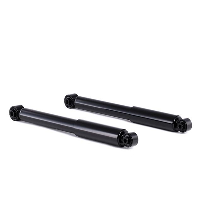 Peugeot 1007 SCHOKDEMPER Achter